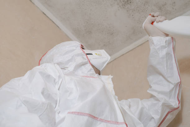 Best Industrial Mold Remediation in Ruch, OR
